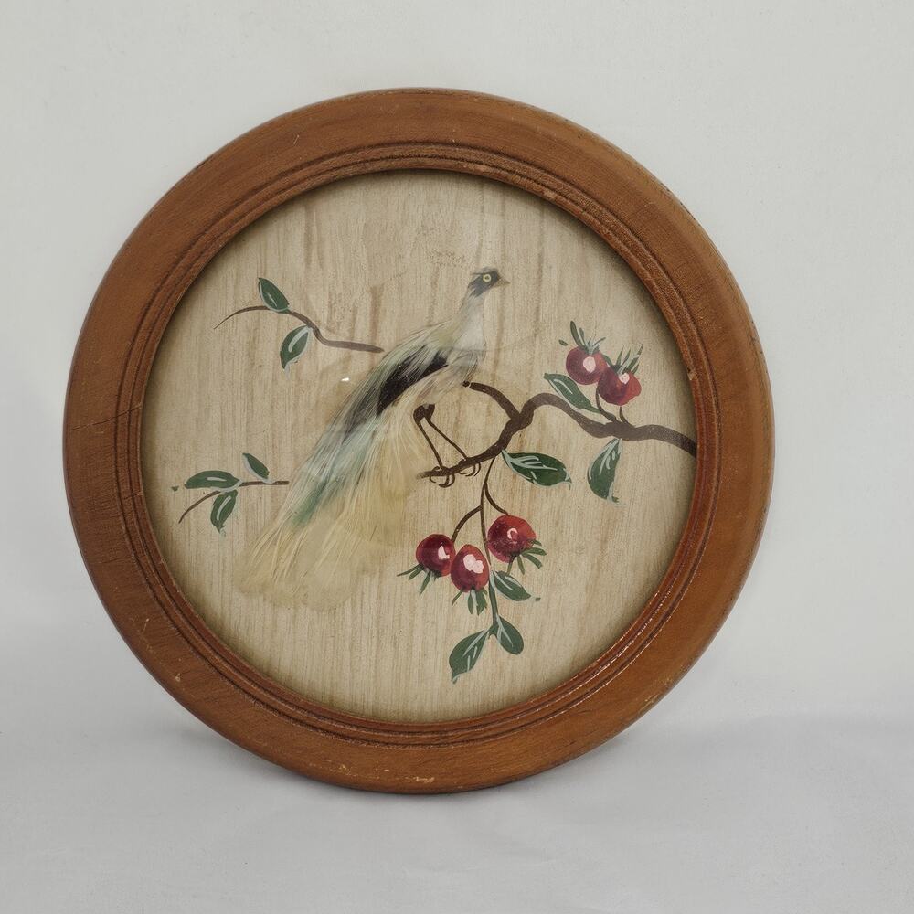 Victorian Bubble Glass Watercolor Birds Applied Feathers Convex Wooden Frame